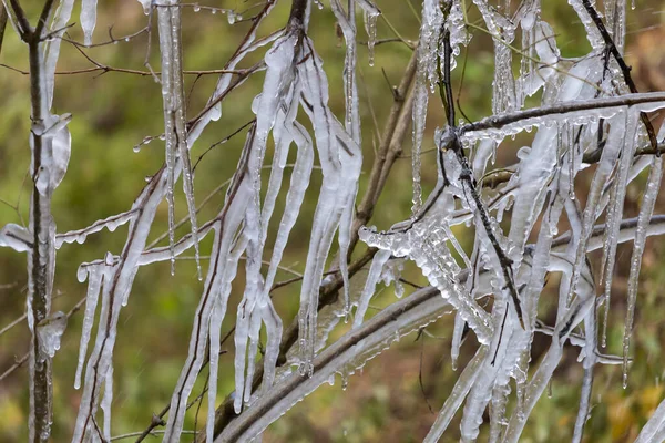 凍結雨後の木の枝につらら 選択的焦点 — ストック写真