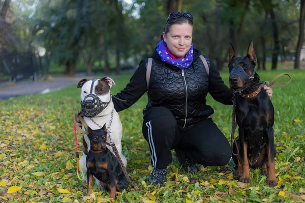 Mladá Žena Psy Procházce Venku Selektivní Zaměření Rozmazaným Pozadím Mělká — Stock fotografie