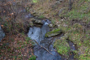 Dağ yayı ya da vahşi akarsu. Bulanık arkaplan ile seçmeli odak.
