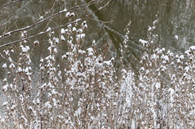 Metin veya harf, seçici odak için kopyalama alanı olan kar ile soyut sembolik kış arkaplanı
