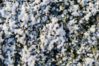 Metin veya harf, seçici odak için kopyalama alanı olan kar ile soyut sembolik kış arkaplanı