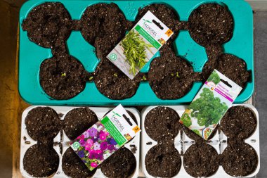 24 Şubat 2021 Balti Moldova. Büyük bir süpermarket, bahçe departmanı. Tohumların gösterimiyle gösterilen bir gösteri