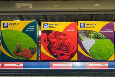 24 Şubat 2021 Balti Moldova. Büyük bir süpermarket, bahçe departmanı. Ekmek için tohumları olan bir vitrin.