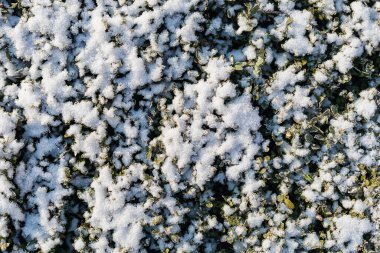 Metin veya harf, seçici odak için kopyalama alanı olan kar ile soyut sembolik kış arkaplanı