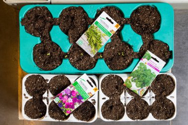 24 Şubat 2021 Balti Moldova. Büyük bir süpermarket, bahçe departmanı. Tohumların gösterimiyle gösterilen bir gösteri