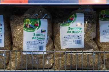 24 Şubat 2021 Balti Moldova. Büyük bir süpermarket, bahçe departmanı. Ekmek için tohumları olan bir vitrin.