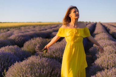 Sarı elbiseli güzel ve güzel genç bir kadın gün batımında lavanta tarlasında yürümekten hoşlanıyor.