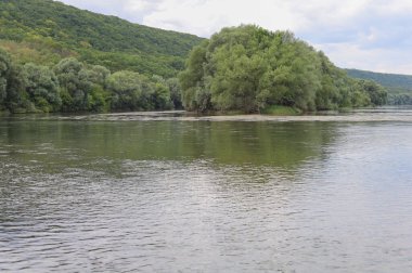 Çok güzel nehir suyu yüzeyi. Doğal yeşil arka plan. Seçici odak