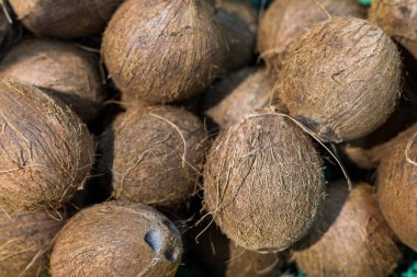 Markette bir ürün. Özenle seçilmiş bir arka plan. Hindistan cevizi