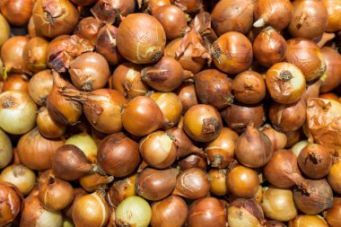 Markette bir ürün. Özenle seçilmiş bir arka plan. Ampul soğanı