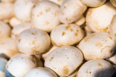 Product in a grocery store. Background with selective focus. Champignon