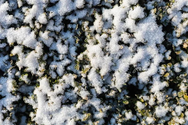 Abstrato Simbólico Fundo Inverno Com Neve Com Espaço Cópia Para — Fotografia de Stock