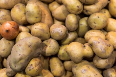 Markette bir ürün. Özenle seçilmiş bir arka plan. Patates.