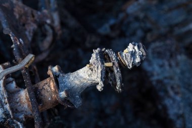 Yakılmış araba, soyut arka plan, seçici odaklanma. Dünyadaki protestolar ve pogromların durumu.