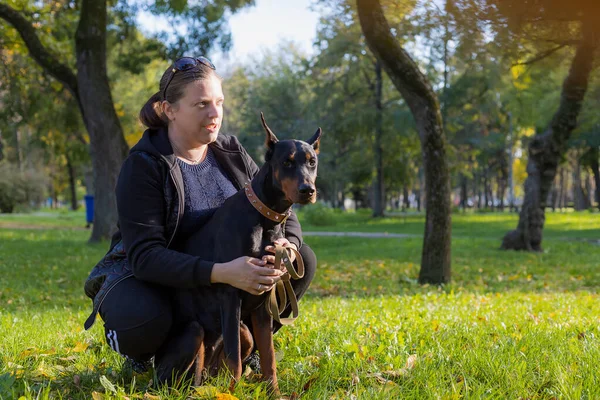 Mladá Žena Procházce Dobermanem Užívá Rozhovor Domácím Mazlíčkem Selektivní Zaměření — Stock fotografie