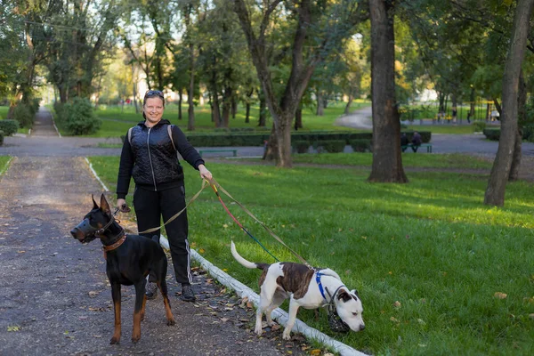 Giovane Donna Con Cani Una Passeggiata All Aperto Focus Selettivo — Foto Stock