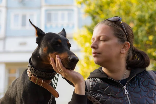 Mladá Žena Procházce Dobermanem Užívá Rozhovor Domácím Mazlíčkem Selektivní Zaměření — Stock fotografie