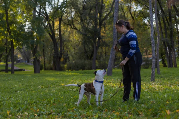 A young woman enjoys companionship with her beloved pet, a pit bull, in a city park. Selective focus with blurred background. Shallow depth of field.