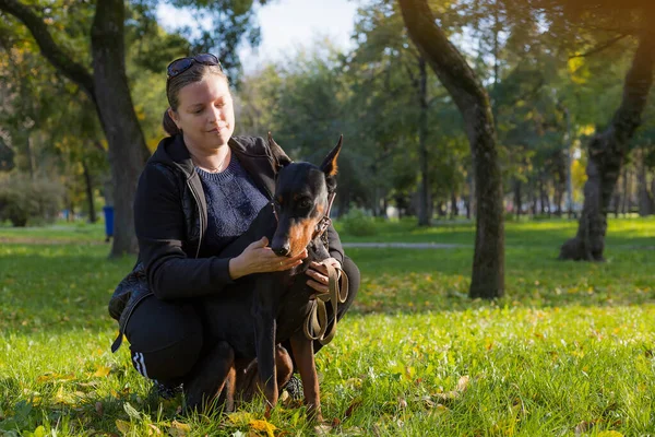 Una Giovane Donna Passeggiata Con Doberman Diverte Parlare Con Animale — Foto Stock