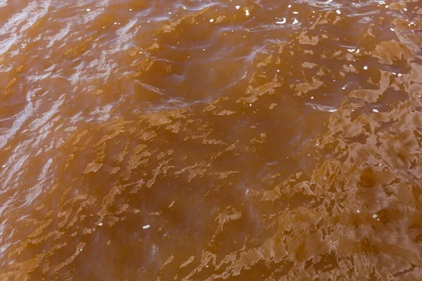 Rio Africano Lamacento Corpo Sujo Água Lago Suspense Assustador Contexto — Fotografia de Stock