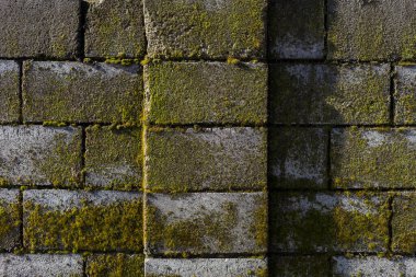 Bir binanın yosun tabakası pürüzlü. Tasarım için arka plan ya da substrat. Alt katman için boşluk.