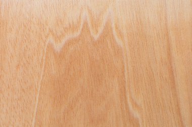 Afrika 'daki bir ağacın açık dokulu kesik yüzeyi. Ahşap zemin ya da tasarım için boş. Metin veya etiketler için bir grafik kaynağı ya da altında yatan.