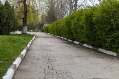 Beyazlatılmış ya da beyaz kaldırım boyalı. Kopya alanı olan şehir ortamında arkaplan