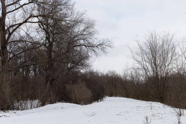 Kış doğasının soyut sembolik arka planında metin veya harfler için kopya alanı ve seçici odak noktası vardır.