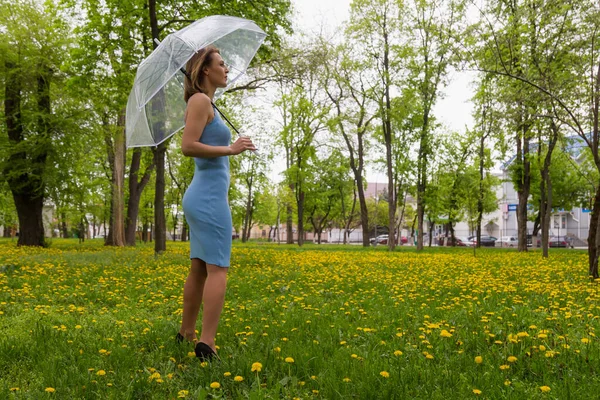 Jeune Femme Avec Parapluie Transparent Sur Fond Flou Parc Ville — Photo