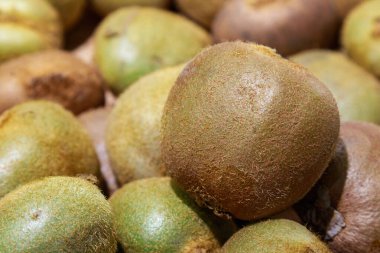 Kivi yakın plan, seçici odaklı arkaplan ve metin için alanı kopyala. Bir süpermarkette mallar.