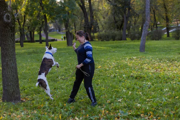 Mladá Žena Užívá Společnost Svým Milovaným Mazlíčkem Pitbullem Městském Parku — Stock fotografie