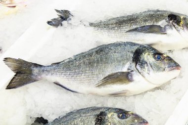 Buzdolabında balık ve deniz ürünleri satan bir dükkanın rafı. Seçici odaklı arkaplan.