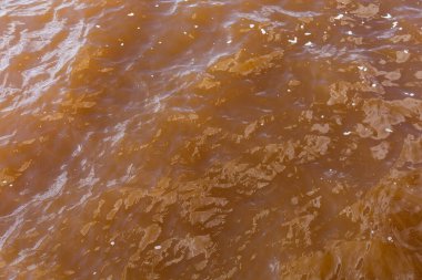 Çamurlu Afrika nehri. Kirli su ya da göl. Korkunç bir belirsizlik. Arkaplan