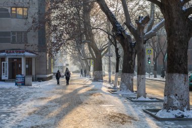 19 Ocak 2021 Balti veya Beltsy, Moldova 'nın soğuk kışı. İllüstrasyon Editörü