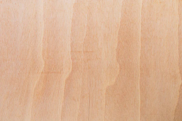 Light Rough Textured Cut Surface African Tree Wood Background Blank — Stock Photo, Image