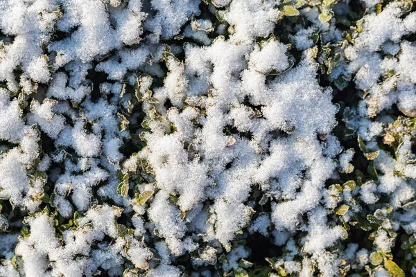 Abstrato Simbólico Fundo Inverno Com Neve Com Espaço Cópia Para — Fotografia de Stock