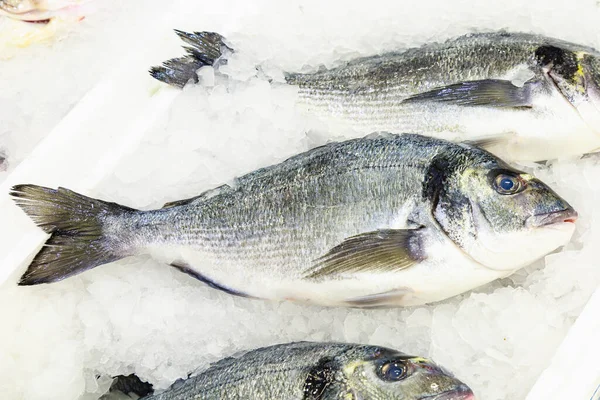 Buzdolabında balık ve deniz ürünleri satan bir dükkanın rafı. Seçici odaklı arkaplan.