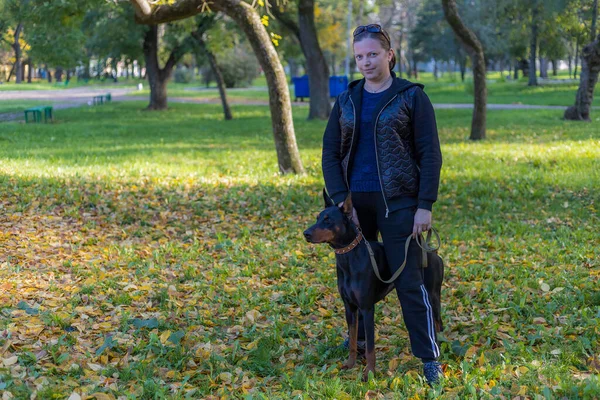 Une Jeune Femme Promenade Avec Doberman Aime Parler Avec Animal — Photo