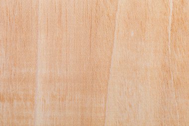 Afrika 'daki bir ağacın açık dokulu kesik yüzeyi. Ahşap zemin ya da tasarım için boş. Metin veya etiketler için bir grafik kaynağı ya da altında yatan.