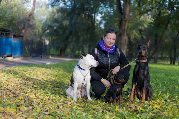 散歩中の犬を連れた若い女性 背景がぼやけた選択的フォーカス フィールドの浅い深さ — ストック写真