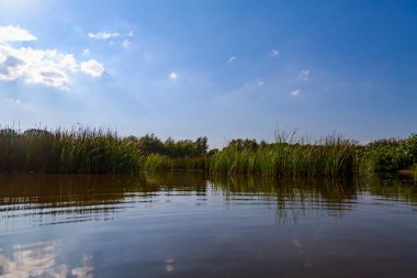 Köy bataklık nehri. İklim değişikliğinden dolayı kurumuş su kütleleri. Metin veya yazıtlar için kopyalama alanı olan arkaplan.