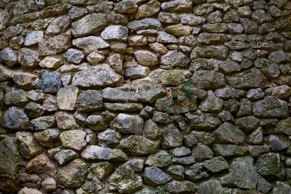 Eine Mauer Aus Wildem Stein Raue Strukturierte Oberfläche Hintergrund Für — Stockfoto