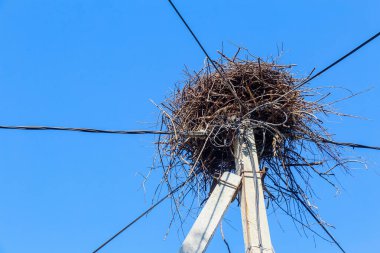 Kentsel bir yerleşim ya da köyde beton bir sütunun üzerindeki büyük bir leylek yuvası. Metin veya yazıtlar için kopyalama alanı olan arkaplan.