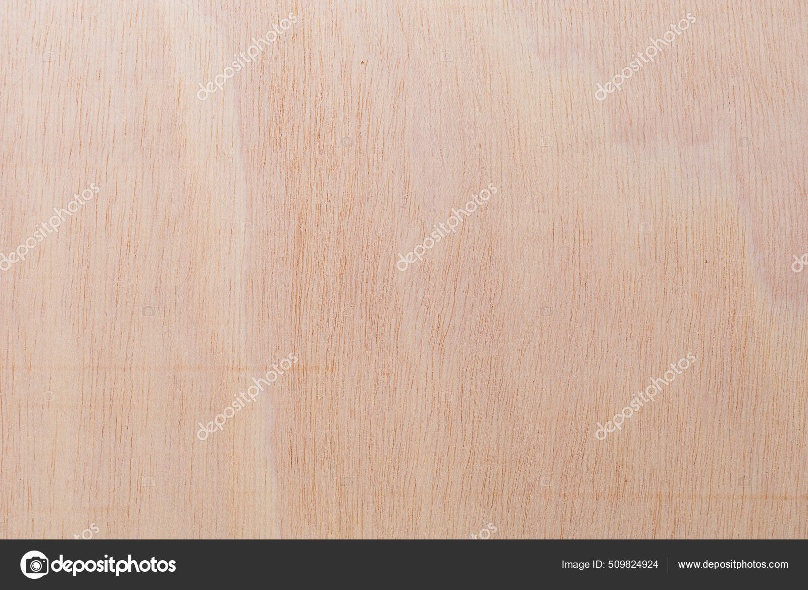 Superfície Cortada Texturizada Áspera Clara Uma Árvore Africana Fundo  Madeira — Foto © luckyuran #509824924, image size:1600x1167