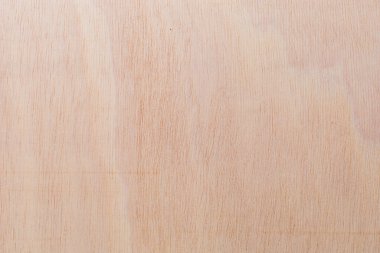 Afrika 'daki bir ağacın açık dokulu kesik yüzeyi. Ahşap zemin ya da tasarım için boş. Metin veya etiketler için bir grafik kaynağı ya da altında yatan.