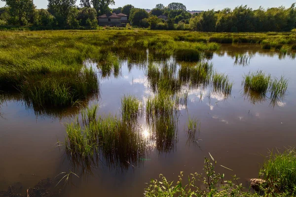 Village Boggy River Assèchement Des Plans Eau Raison Des Changements — Photo