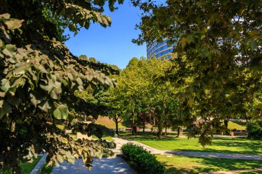 Serene urban park with lush greenery and pathways on a sunny day.