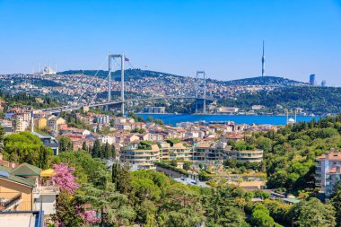 Scenic view of bosphorus bridge and istanbul skyline with lush greenery.