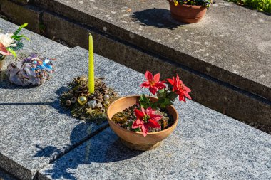 Potted red flowers and candle on granite tombstone.