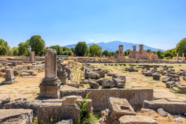 Bir sürü taş sütun ve bir kaç ağacın olduğu geniş açık bir alan. Gökyüzü açık ve güneş ışıl ışıl parlıyor. Yunanistan 'ın antik Filippi kentinin kalıntıları